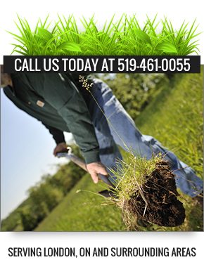 London ON Landscaping Contractor - Banner About